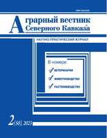 Логотип Заголовка Страницы