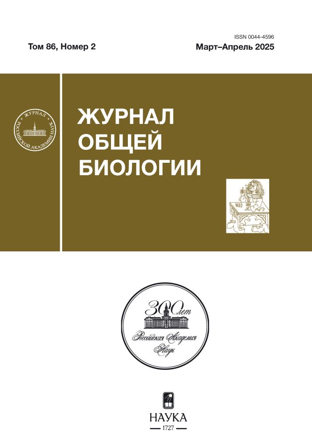Logotipo do cabeçalho da página