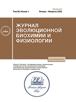 Бет Тақырыбының Логотипі