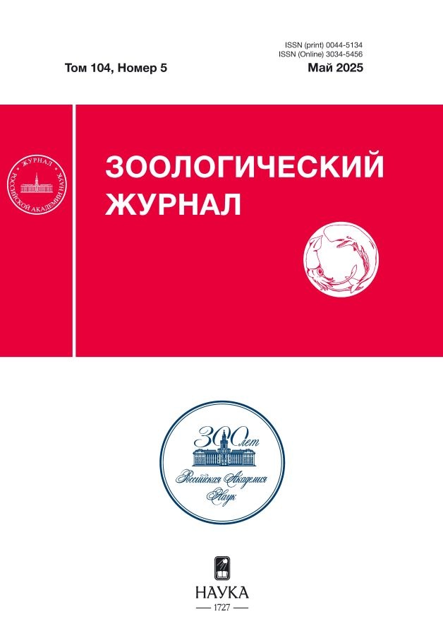 Page Header Logo