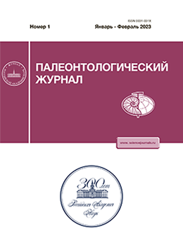 Page Header Logo