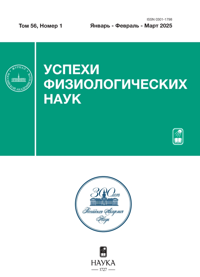 Логотип Заголовка Страницы