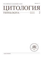 Мұқаба