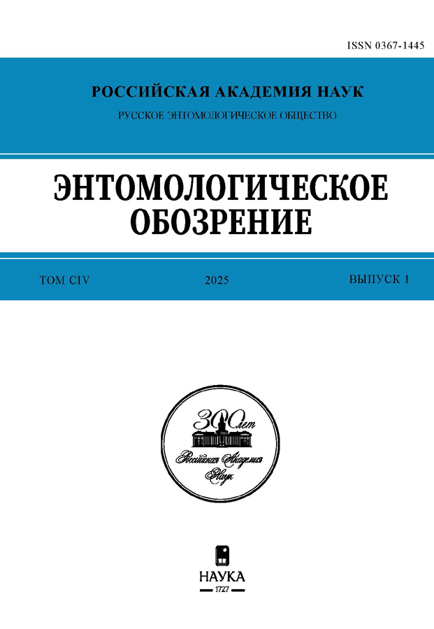 Логотип Заголовка Страницы