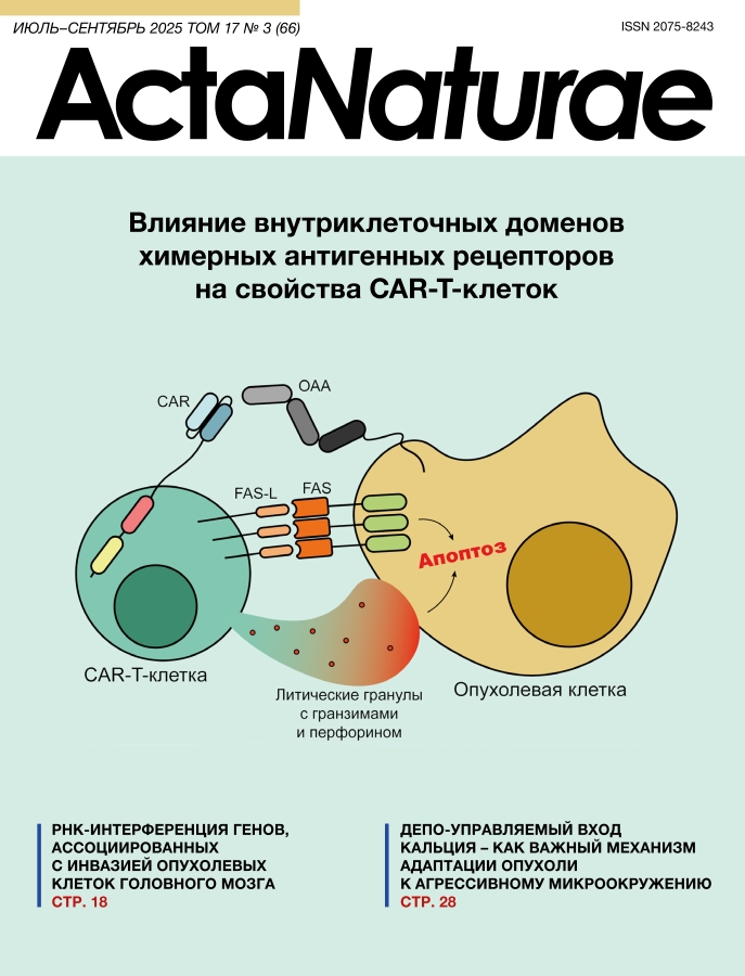 Логотип Заголовка Страницы